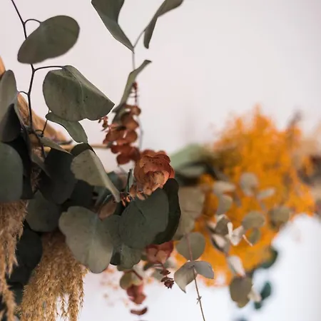 Home2book Casa Calma